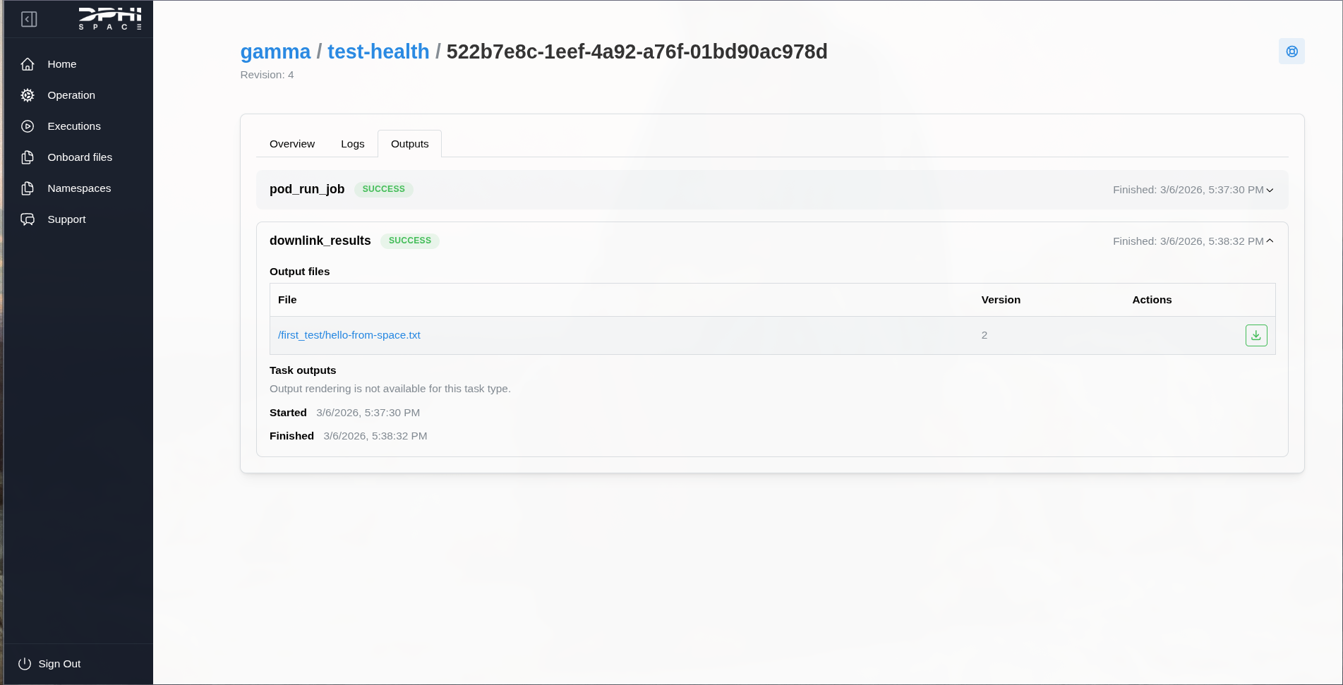 Execution Outputs